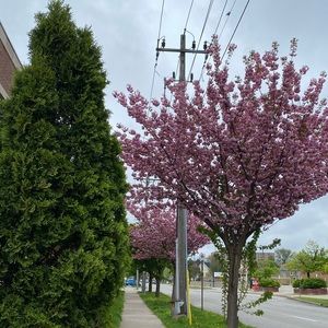 Meet your Posher, Arielle